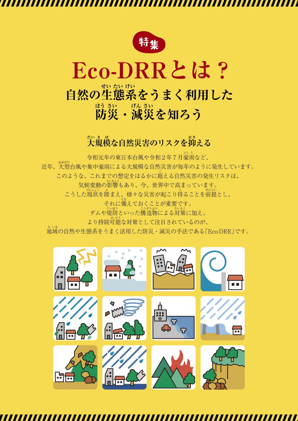 関塾タイムス9月号 特集 Eco-DRRとは? ―自然の生態系をうまく利用した防災・減災を知ろう